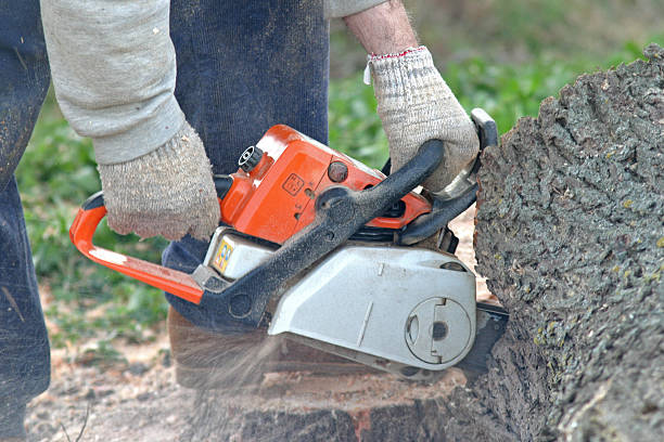 Lawn Watering Services in Fern Prairie, WA